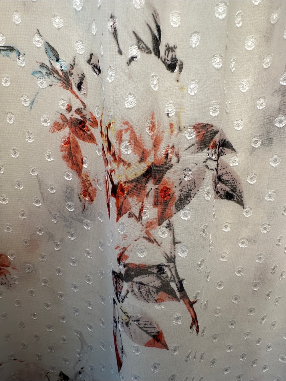 Daniel Rainn Ivory Sheer Swiss Dot Blouse with Multicolor Floral Print - Picture 7 of 9